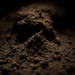 Is Multani Mitti Good for Dry Skin?